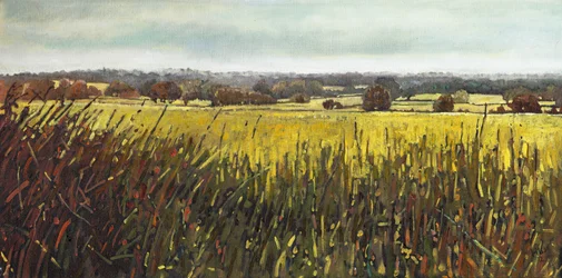 Vers Riseley, 2012